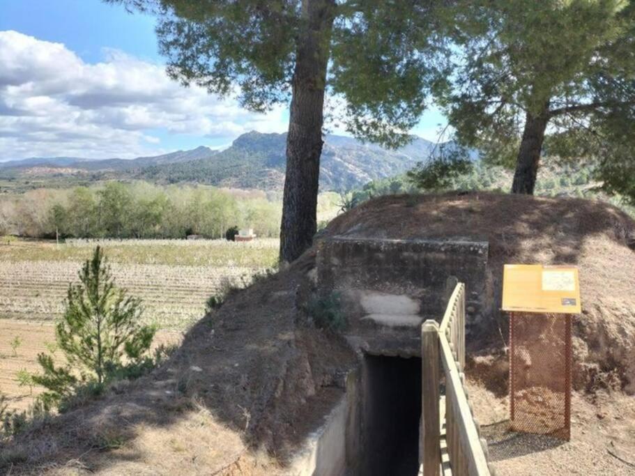 Ca Serrulleta Asco Luaran gambar